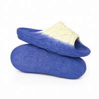 Bramble Slides (Ombré Dye)