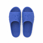 Bramble Slides (Full Dye)